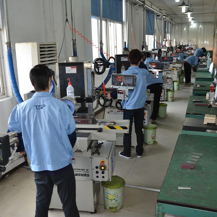 TSP Processing Workshop​